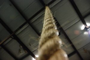 Crossfit Rope